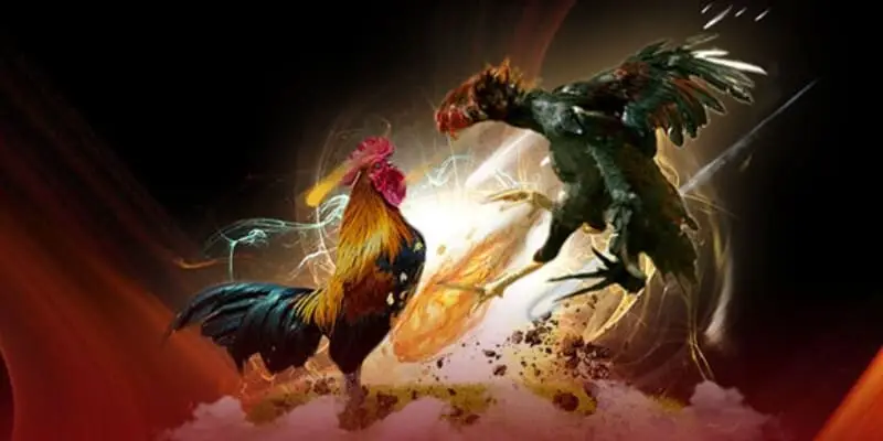 Trực tiếp đá gà Ga6789