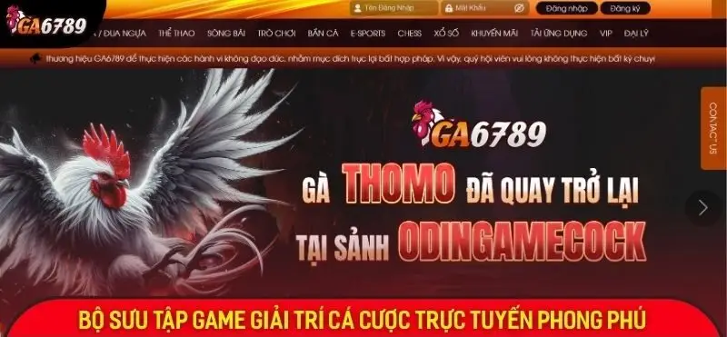 Ga6789 ⭐️ Link Vào Nhà Cái Đá Gà Thomo Ga6789.com Uy Tín 23 Sảnh cược daga ga6789